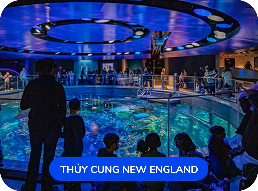 Thủy cung New England