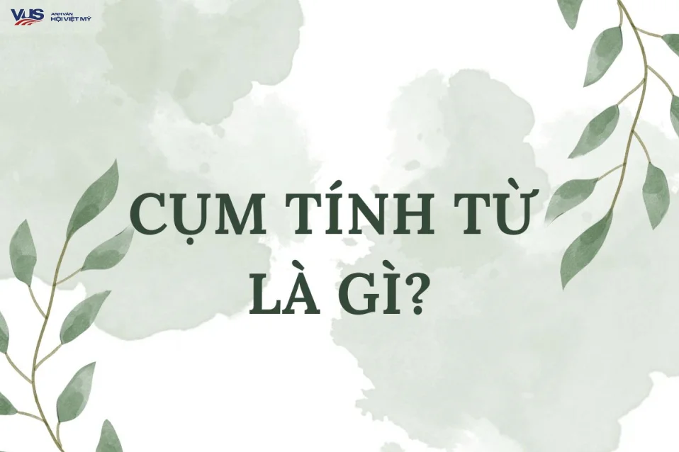 Cụm tính từ là gì? Giải mã chức năng, vị trí và cách nhận diện