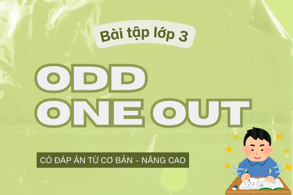 120+ bài tập Odd One Out lớp 3 có đáp án từ cơ bản - nâng cao